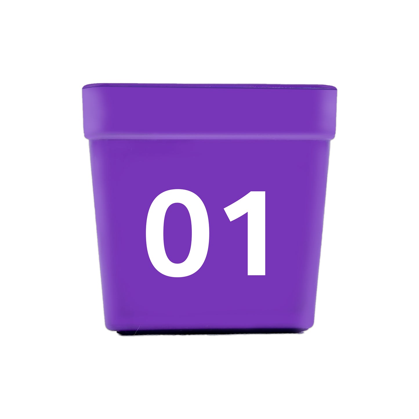 Car Top Number Hat Purple 01